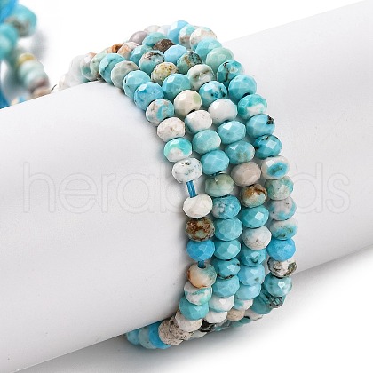 Natural Howlite Beads Strands G-H025-03B-05-1