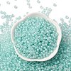 (Defective Closeout Sale: Fading) Glass Seed Beads SEED-XCP0001-30-2