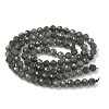 Natural Labradorite Beads Strands G-L622-C03-4mm-3