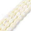 Natural Trochus Shell Beads Strands BSHE-E030-02B-1