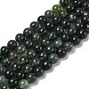 Natural Moss Agate Beads Strands G-A248-A02-01-2