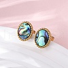 304 Stainless Steel Natural Paua Shell Stud Earrings EJEW-Z103-02G-01-3