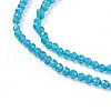 Transparent Glass Beads Strands GLAA-F094-A11-3