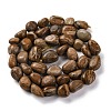 Natural Picture Jasper Beads Strands G-G146-A01-01-3