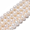 Natural Cultured Freshwater Pearl Beads Strands PEAR-N013-06B-3