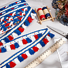10M Ethnic Style Polyester Tassel Lace Ribbon OCOR-WH0078-274A-4