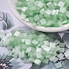 MIYUKI TILA Beads X-SEED-J020-TL2559-1