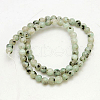 Natural Sesame Jasper/Kiwi Jasper Beads Strands G-G149-10mm-3-2