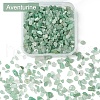 50G Natural Aventurine Chip Beads G-YW0001-82-2