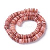 Natural Freshwater Shell Beads Strands X-BSHE-I016-04E-2