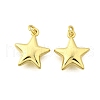 Brass Pendants KK-I275-09G-03-1