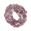 Natural Rose Quartz Beads Strands G-Q060-D11-3