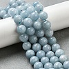 Dyed Natural Malaysia Jade Beads Strands G-G021-02C-20-4