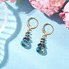 Glass Seed Beads Leverback Earrings EJEW-MZ00398-4