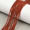 Natural South Red Agate Beads Strands G-F788-01-2mm-1