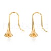 Ion Plating(IP) 304 Stainless Steel Earring Hooks STAS-N108-30G-2