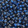 Transparent Inside Colours Glass Seed Beads SEED-H002-A-C215-3