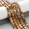 Natural Picture Jasper Beads Strands G-B138-C09-01-1