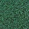 MIYUKI Round Rocailles Beads SEED-X0054-RR0173-1