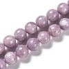 Natural Lepidolite Beads Strands G-H247-11B-2