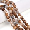 Natural Gemstone Beads Strands G-N349-01A-01-1