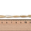 Natural Trochus Shell Beads PEAR-B002-01B-B-4