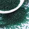 MIYUKI Round Rocailles Beads SEED-X0054-RR0147-1
