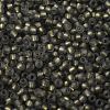 TOHO Round Seed Beads SEED-JPTR11-0271FM-2