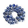 Natural Sodalite Beads Strands G-G182-B20-05-3