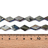 Dyed Natural Freshwater Shell Beads Strands SHEL-T020-13A-4