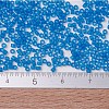 MIYUKI Delica Beads X-SEED-J020-DB0787-4