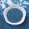 MIYUKI Delica Beads Small X-SEED-J020-DBS0149-2