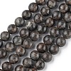 Natural Labradorite Beads Strands G-G0003-C03-10mm-1