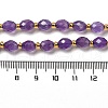 Natural Amethyst Beads Strands G-H297-C09-01-4
