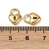 304 Stainless Steel Charms STAS-R170-01G-07-3