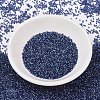 MIYUKI Delica Beads SEED-J020-DB2386-2