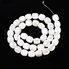 Natural Trochid Shell/Trochus Shell Beads Strands SSHEL-N040-09-2