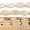Natural Freshwater Shell Beads Strands BSHE-Z005-05-4