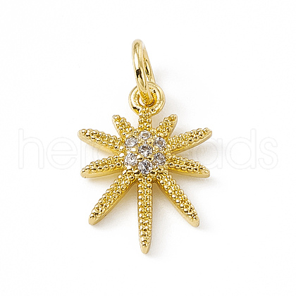 Brass Micro Pave Cubic Zirconia Charms ZIRC-F132-34G-1