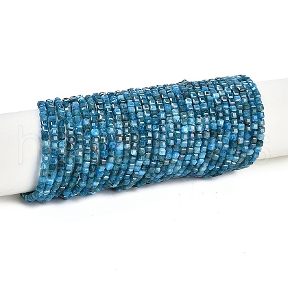 Natural Apatite Beads Strands G-P553-E03-02-1