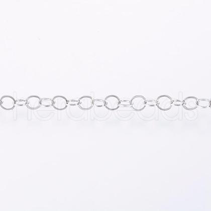 Tarnish Resistant Handmade 304 Stainless Steel Rolo Chains CHS-H007-58P-1