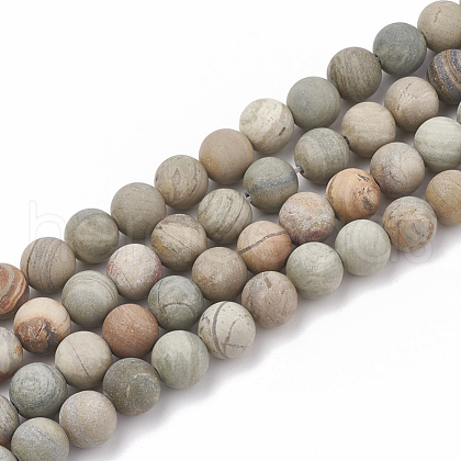 Natural Silver Leaf Jasper Beads Strands G-T106-235-1