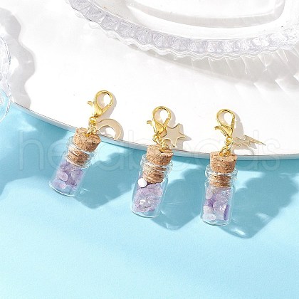 Natural Amethyst Chips inside Glass Wishing Bottle Pendant Decoration HJEW-JM03307-04-1