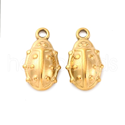 304 Stainless Steel Charms STAS-G354-01B-G-1