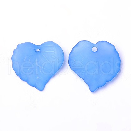 Transparent Acrylic Pendants PL591-5-1