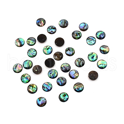 Paua Shell Cabochons SHEL-WH0001-002B-1