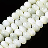 Natural Trochid Shell/Trochus Shell Beads Strands SSHEL-N032-159-1