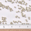MIYUKI Delica Beads SEED-X0054-DB0335-2
