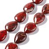 Natural Brecciated Jasper Beads Strands G-L242-10-1