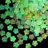 Luminous Transparent Acrylic Beads OACR-B031-14-3